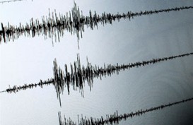 Intensitas Gempa Bumi di Provinsi Papua dan Papua Barat Cenderung Meningkat