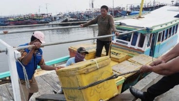 Tumpahan Minyak Pertamina, Hasil Tangkapan Ikan Nelayan Anjlok 40 Persen