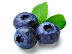 Perlambat Penuaan dengan Konsumsi Blueberry