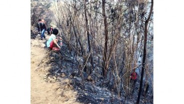 BNPB Kerahkan Helikopter untuk Padamkan Kebakaran Hutan Gunung Arjuno