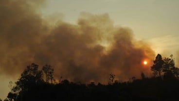 Kebakaran Hutan di Sumsel  Capai 257,9 Hektare