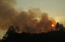 Kebakaran Hutan di Sumsel  Capai 257,9 Hektare