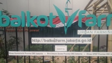 Budi Daya Tanaman Berbasis Teknologi, Bank DKI Dukung Program Balkot Farm