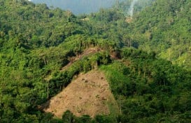 Program TORA : Penguasaan Tanah Dalam Kawasan Hutan Dilakukan Bertahap