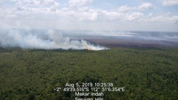 Ada Kebakaran Lahan di Kalimantan, Kemenhub Pantau Khusus Bandara Sampit