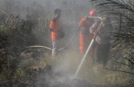 Tangani Karhutla, Jokowi Ingatkan Aturan Main bagi Pangdam, Danrem, Kapolda, dan Kapolres