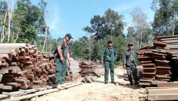 Operasi Gabungan Tangkap 17 Pelaku, Siti Nurbaya: Pembalakan Harus Ditindak Tegas