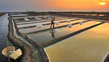 Pacu Serapan, Kualitas Garam Lokal Harus Ditingkatkan