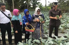 Pertamina Dorong Peningkatan Ekonomi Keluarga di Banjarbaru