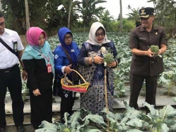 Pertamina Dorong Peningkatan Ekonomi Keluarga di Banjarbaru