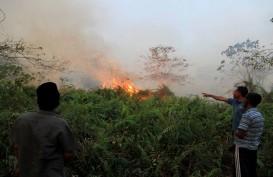 KLHK : Upaya Pencegahan Kebakaran Hutan dan Lahan Terus Dilakukan