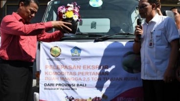 Bali Ekspor 2,5 Ton Mangga Harum Manis ke Rusia