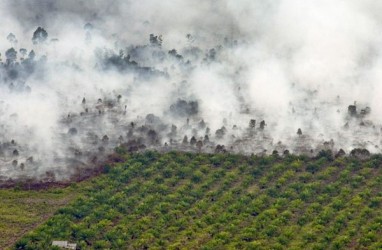Pemkab OKI sumsel Pastikan Kebun Sawit RAJ Tak Terbakar Lagi