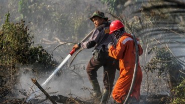 Kebakaran Hutan dan Lahan : PMI Bagikan 40.000 Masker di Kalsel & Kalbar