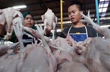 PATUHI KEPATUHAN WTO : Indonesia Buka Impor Unggas