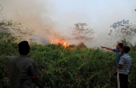 Anggaran Pengendalian Kebakaran Hutan dan Lahan KLHK Turun Drastis