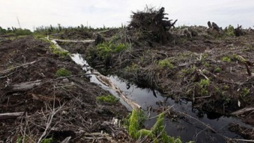 Perhutanan Sosial : 230.278 Hektare Lahan Gambut Siap Didistribusikan