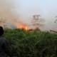 112 Titik Panas Tersebar di Sumatra, Riau Paling Banyak