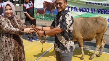 Pelindo III Cabang Banjarmasin Potong Hewan Kurban