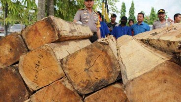 Tim Kepolisian dan KLHK Panggil Terduga Aktor Intelektual Pembalakan Liar