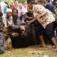 Ratusan Warga Singapura Berkurban di Panti Asuhan Ya Bunayya Batam 