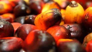 Segel Dibuka, Anak Usaha Astra Agro Lestari Urus IMB Pabrik Pengolahan Sawit