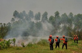 Kasus Karhutla Riau, Polisi Bidik Bos PT SSS