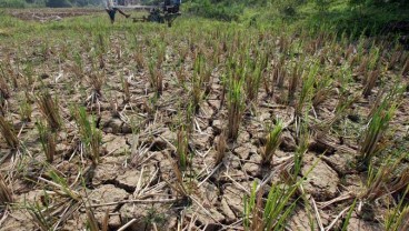 Di Tengah Isu Krisis Air Meluas, BPBD Jateng Klaim Penanganan Lancar