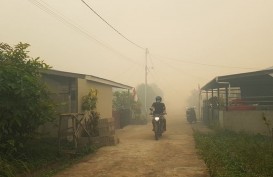 Kebakaran Hutan, Kabut Asap di Pontianak Semakin Pekat
