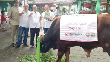 Sinar Mas Land Serahkan Bantuan Hewan Kurban