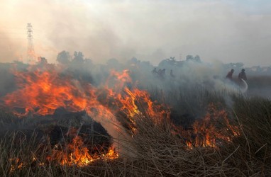 Badan Restorasi Gambut: Kebakaran Lahan Timbulkan Kerugian Ekonomi Triliunan Rupiah 