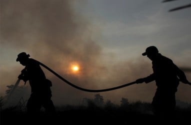 LSM: Jika RUU Pertanahan Disahkan, Dampaknya Terjadi Deforestasi Besar-besaran