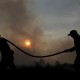 Kebakaran Lahan, Wapres JK Minta Penanganan Menyeluruh
