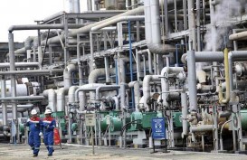 Green Refinery di Kilang Dumai dan Plaju Bakal Serap 1 Juta Ton CPO Per Tahun