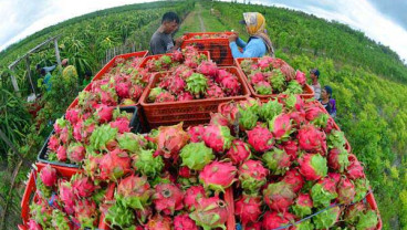 Pengusaha Travel Jatim Fokus Garap Potensi Wisata Banyuwangi
