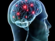 Tangani Epilepsi dengan Sel Punca dan Terapi Gen