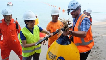 Kabel Laut Putus, Biaya Perbaikan Bisa Lebih dari Rp50 Miliar