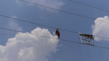 PLN Bersihkan Jaringan Transmisi Terdampak Angin Puting Beliung di Pontianak