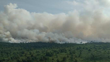KEBAKARAN LAHAN DI MUSI BANYUASIN