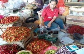 Harga 1 Kg Cabai di Madiun Pernah Mencapai Rp100.000