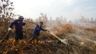 Ada 49 Titik Panas Terdeteksi di Wilayah Kalimantan Tengah