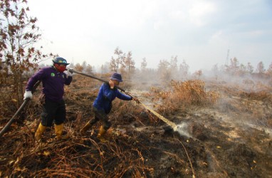Ada 49 Titik Panas Terdeteksi di Wilayah Kalimantan Tengah