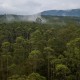 Tunda Waktu Tebang Pohon, KLHK Salurkan Pinjaman untuk Petani Hutan