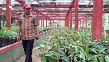 Kalimantan Barat Kembangkan Agroteknopark