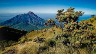 Peringati HUT RI, 3.000 Pendaki Serbu Gunung Merbabu Jumat Malam