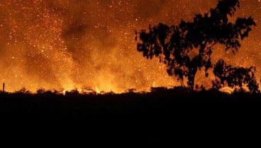 Penanganan Kebakaran Hutan akan Libatkan lebih Banyak Kementerian  dan Lembaga