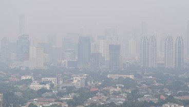 Polusi Udara Kepung Jakarta, Pemprov DKI Tanam Bougenville