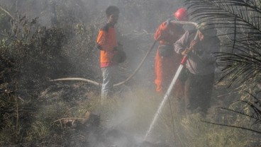 Kawasan Hutan Gunung Pogor Terbakar Diduga Akibat Kemarau