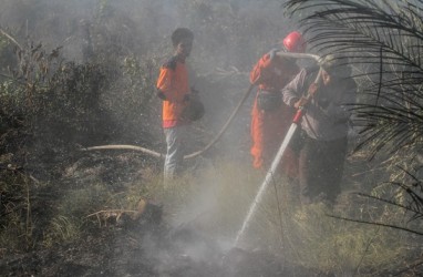Kawasan Hutan Gunung Pogor Terbakar Diduga Akibat Kemarau