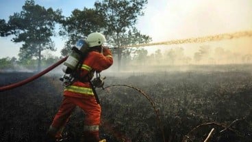 Selama Agustus, 5.500 Meter Persegi Lahan Terbakar di Cianjur